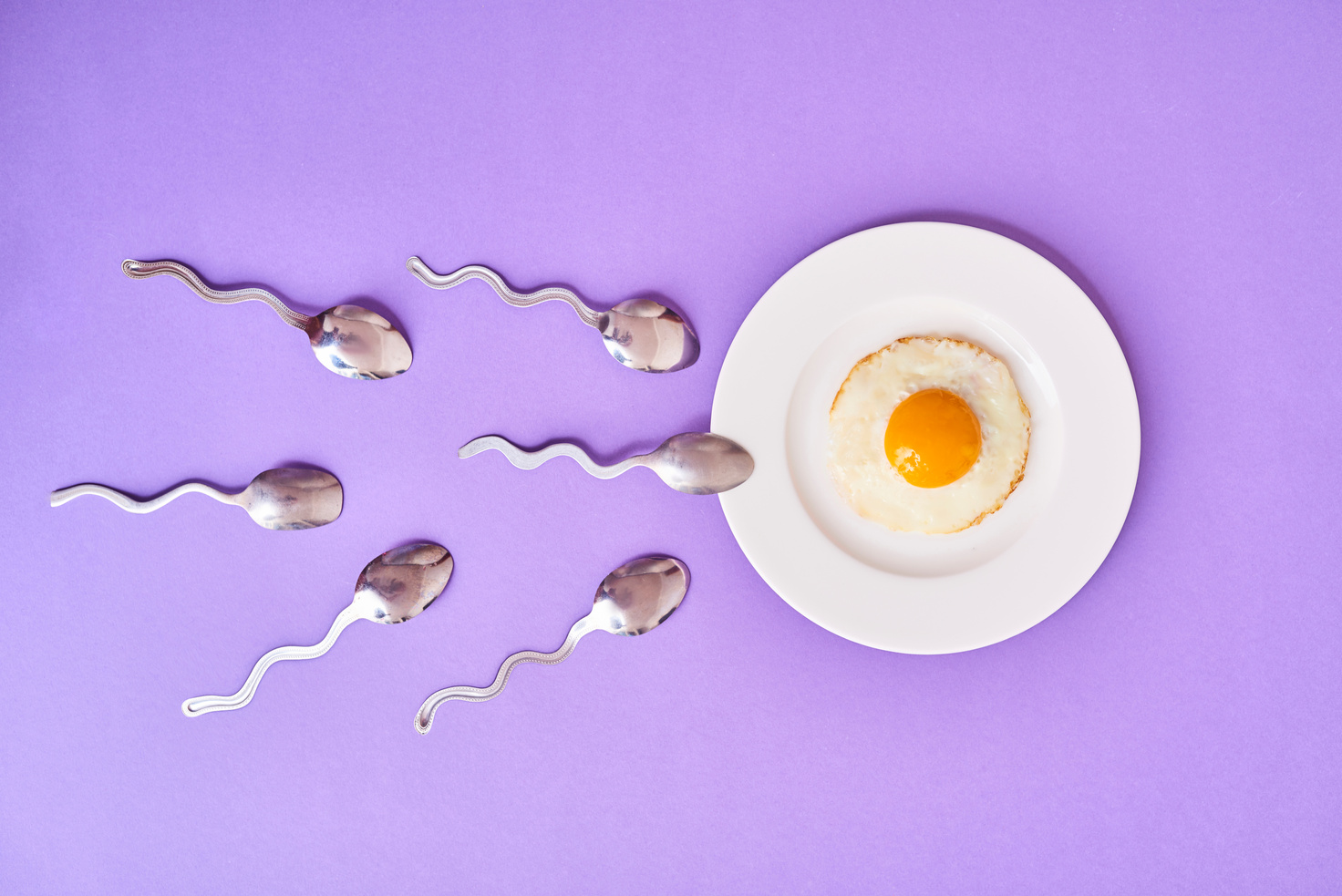 Conception of fertilization. Fried egg in white plate, and spoon