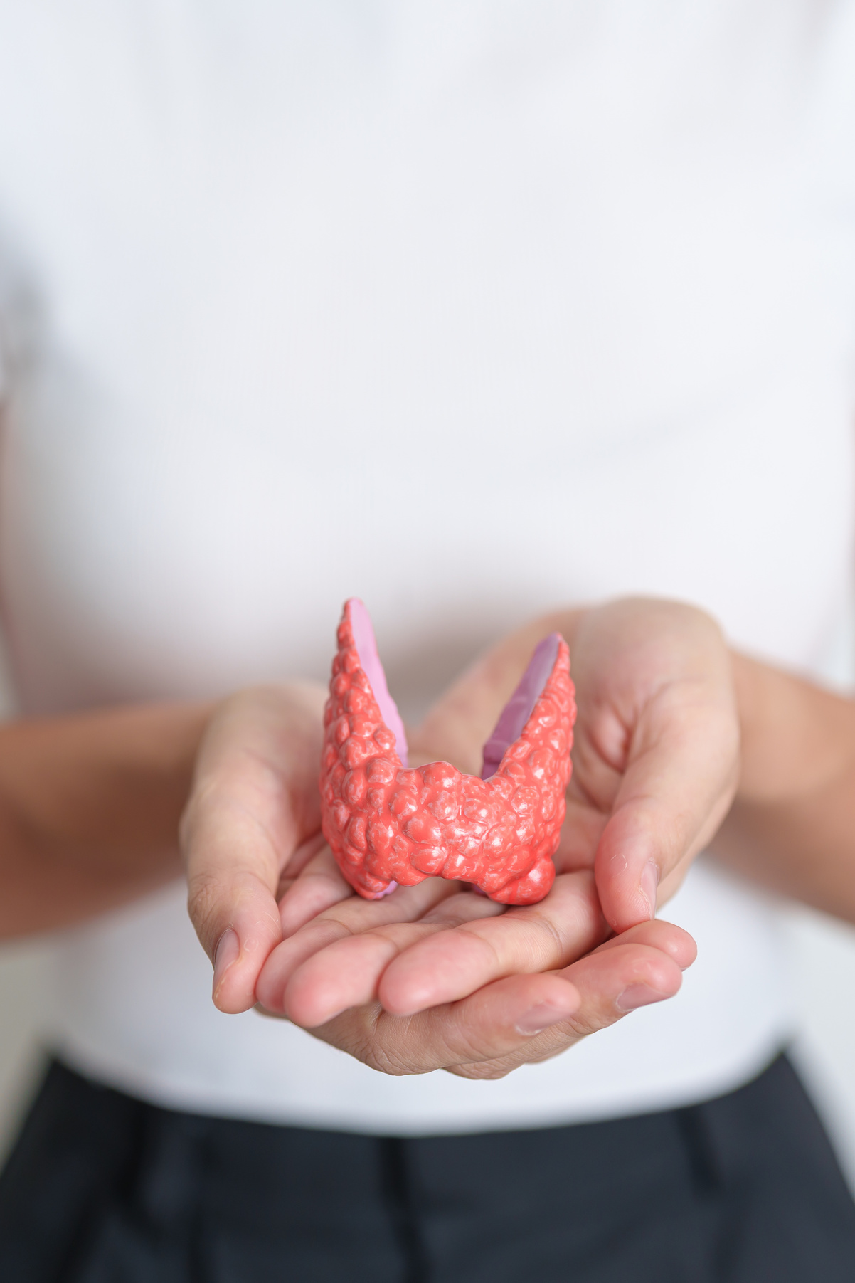 Woman holding human Thyroid anatomy model. Hyperthyroidism, Hypothyroidism, Hashimoto Thyroiditis, Thyroid Tumor and Cancer, Postpartum, Papillary Carcinoma and Health concept